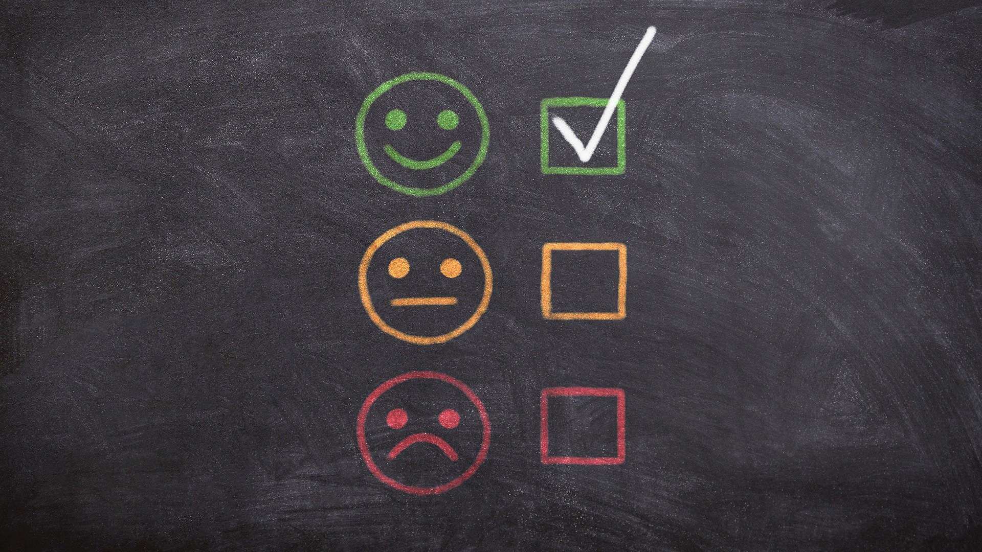 Client feedback